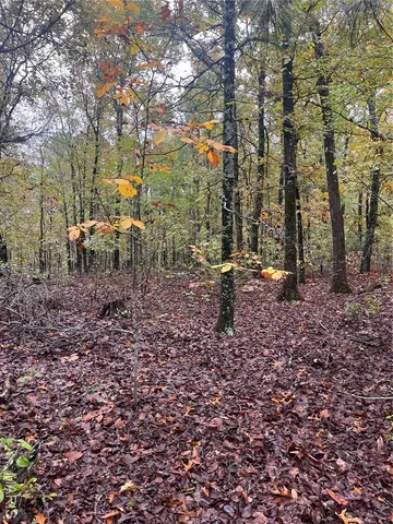 $190,000 | 0 Forest Road 3123, Mill Spring, MO 63952