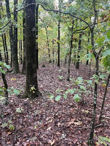 $190,000 | 0 Forest Road 3123, Mill Spring, MO 63952