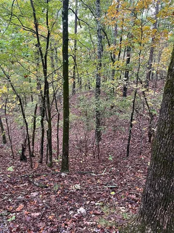 $190,000 | 0 Forest Road 3123, Mill Spring, MO 63952