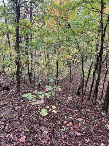 $190,000 | 0 Forest Road 3123, Mill Spring, MO 63952