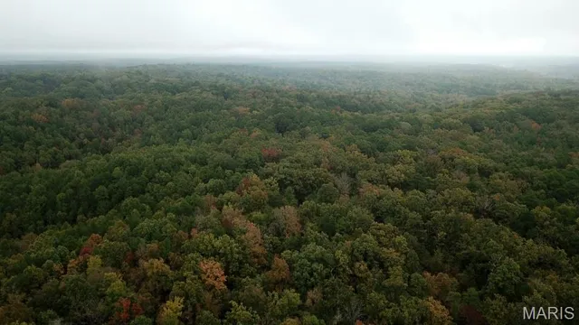 $190,000 | 0 Forest Road 3123, Mill Spring, MO 63952