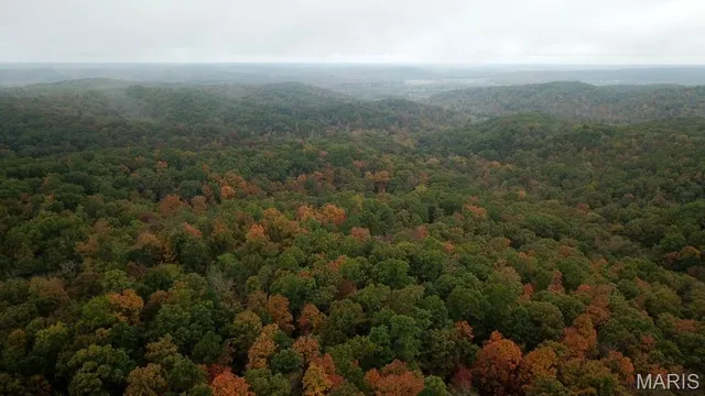 $190,000 | 0 Forest Road 3123, Mill Spring, MO 63952