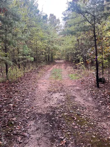 $190,000 | 0 Forest Road 3123, Mill Spring, MO 63952