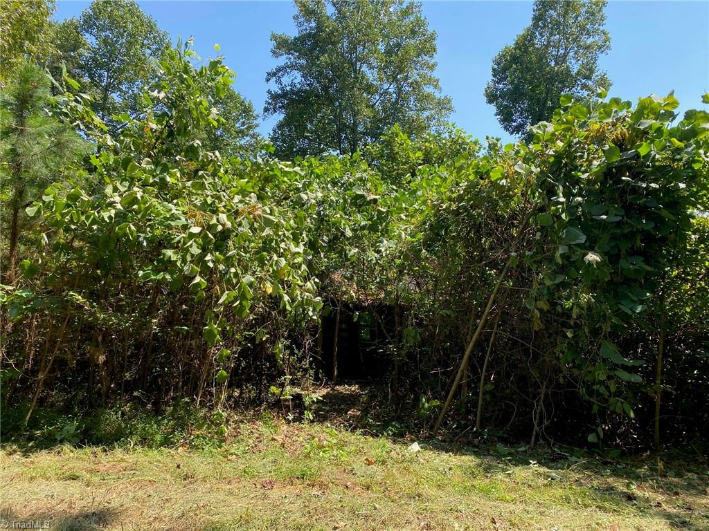 18.96 Bear Road Madison, NC 27025 - Photo 11 of 16