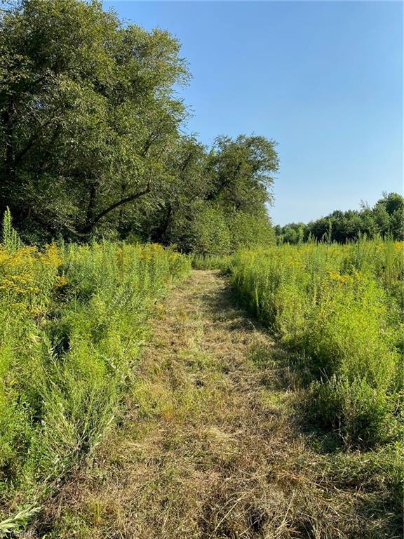 18.96 Bear Road Madison, NC 27025 - Photo 16 of 16