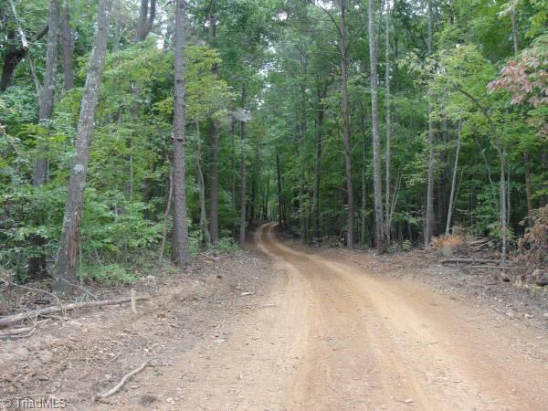 18.96 Bear Road Madison, NC 27025 - Photo 6 of 16 Road leading down to pond and backside of property.