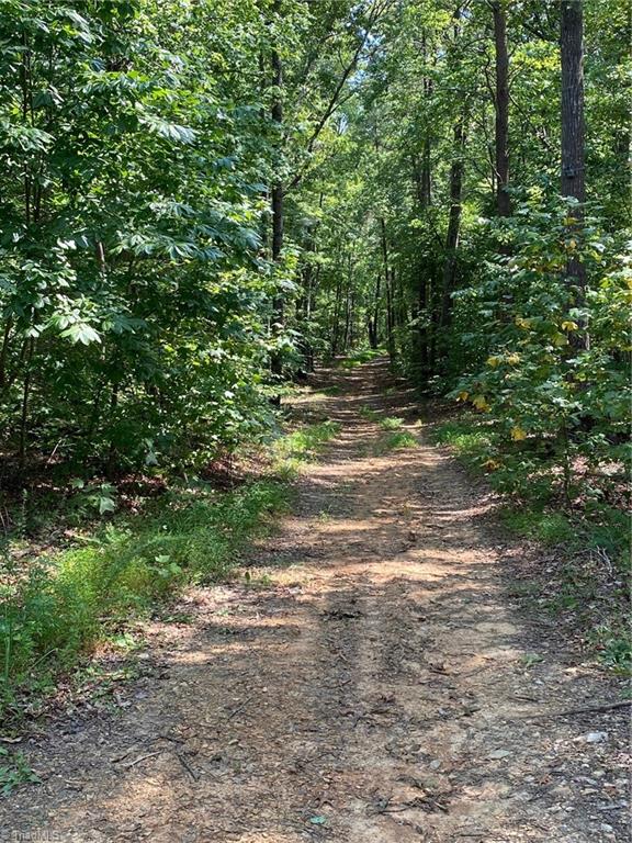 18.96 Bear Road Madison, NC 27025 - Photo 7 of 16