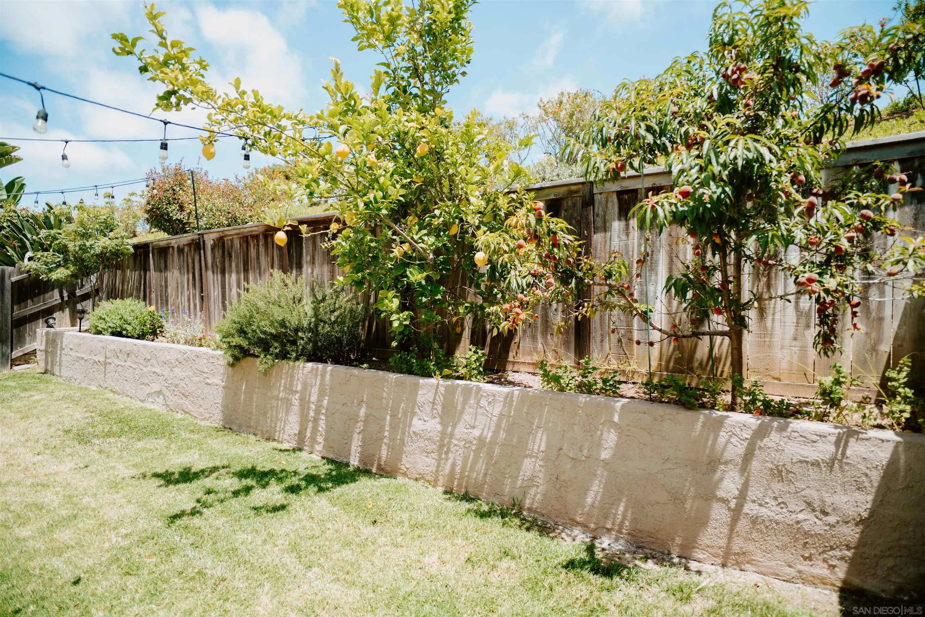 645 Paseo Rio Vista, CA 92081 - Photo 34 of 45