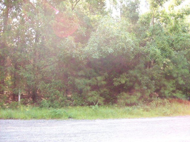 0 Bethlehem Road Manning, SC 29102 - Photo 1 of 1