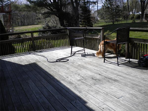 226 Commonwealth Road Wayland, MA 01778 - Photo 15 of 16 Gallery Image 15