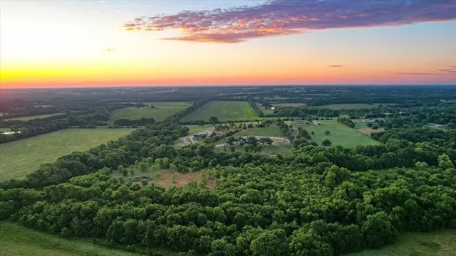 a view of a city with lush green forest
