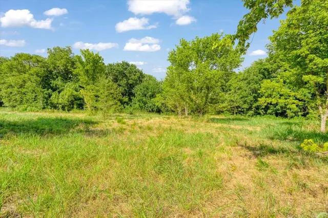 a view of yard with green space