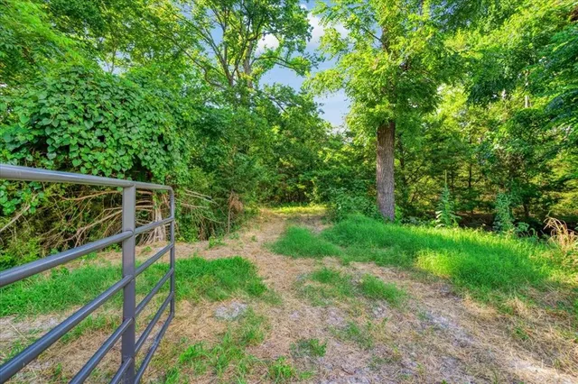 a view of a yard with plants and trees