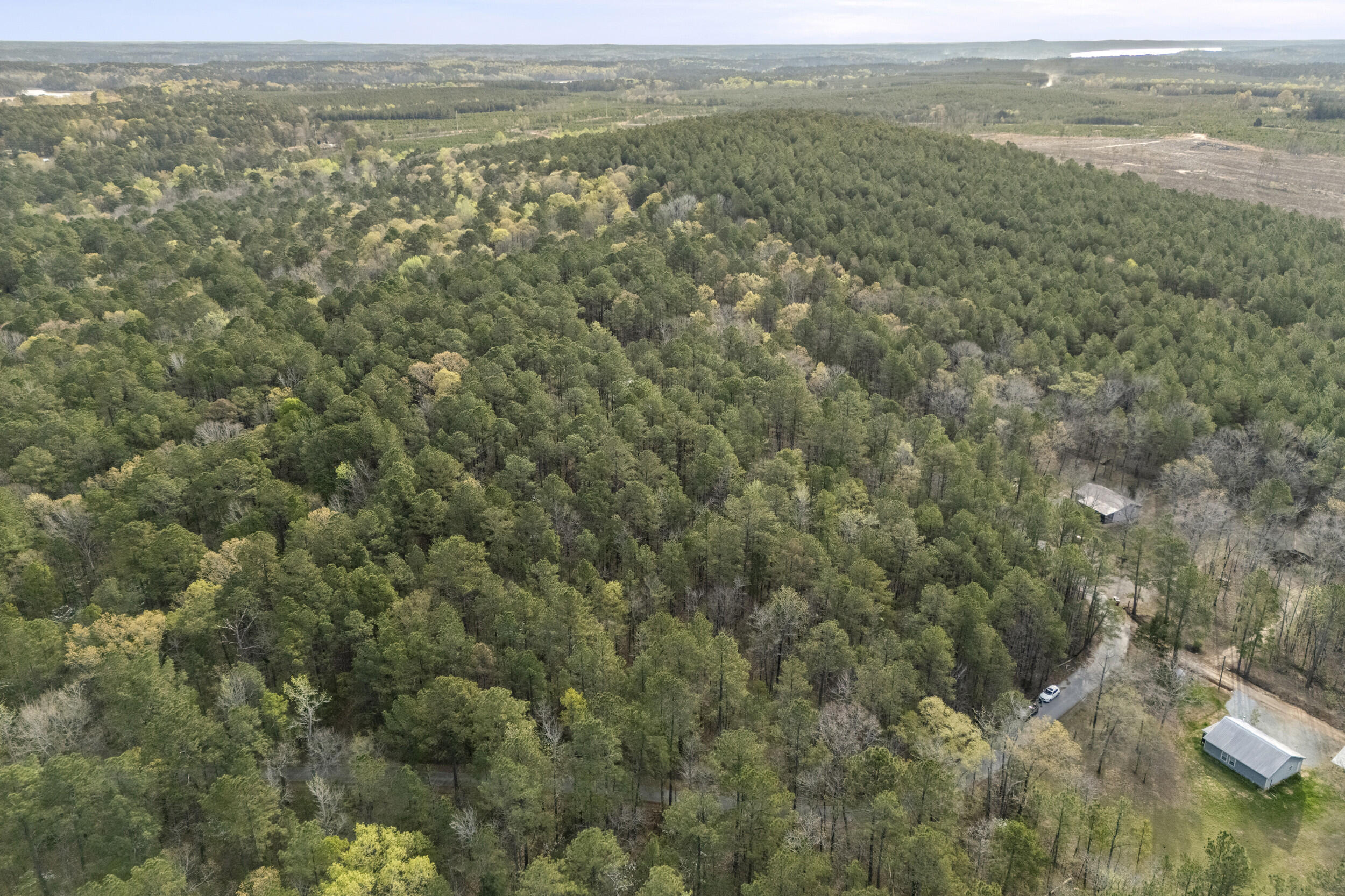 0 Lbk Circle Tignall, GA 30668 - Photo 11 of 21 7_2026-03-24_lbk_cir-srm-07