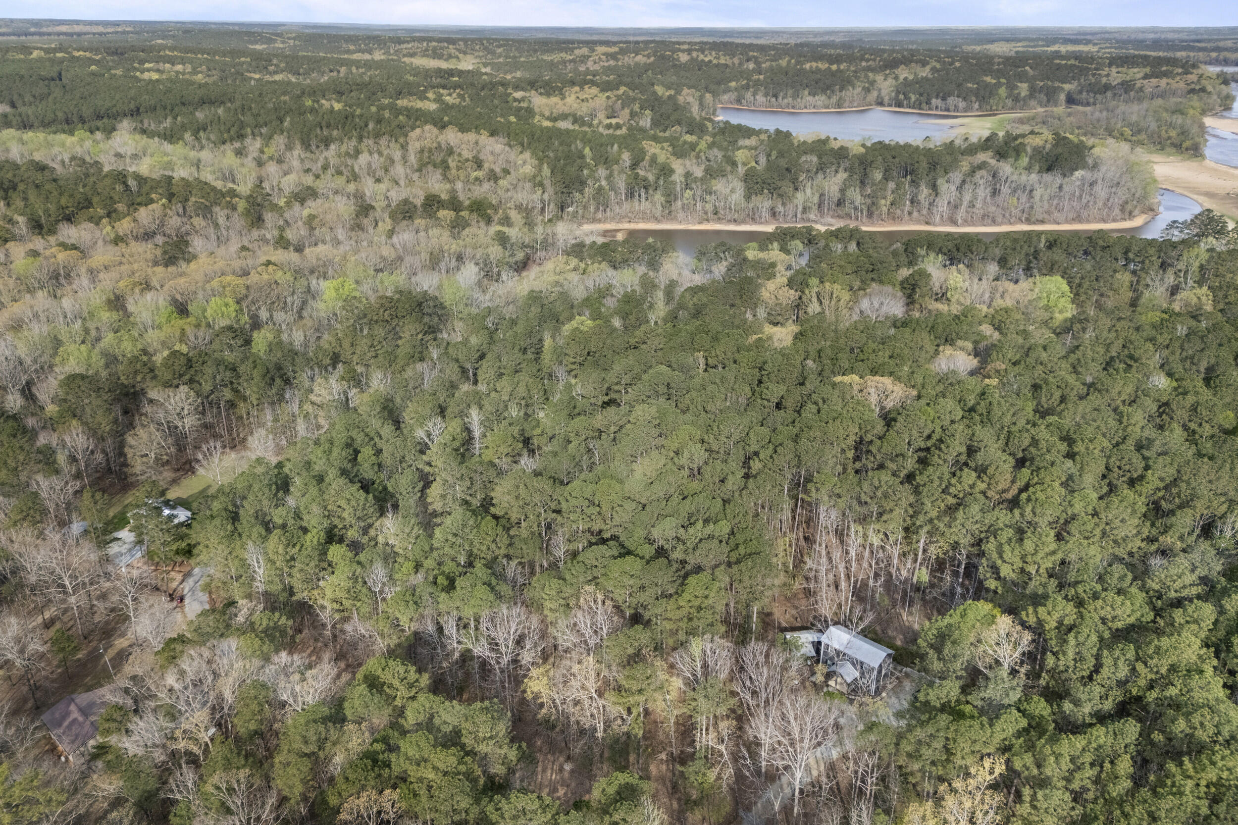 0 Lbk Circle Tignall, GA 30668 - Photo 13 of 21 15_2026-03-24_lbk_cir-srm-11