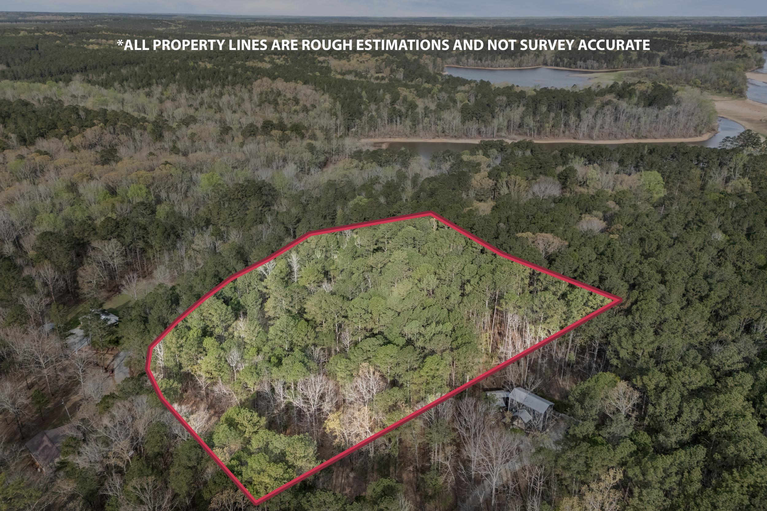 0 Lbk Circle Tignall, GA 30668 - Photo 14 of 21 16_2026-03-24_lbk_cir-srm-lines-11.png