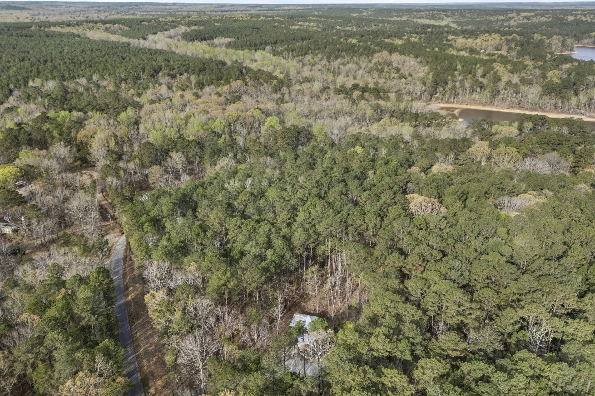 0 Lbk Circle Tignall, GA 30668 - Photo 15 of 21 17_2026-03-24_lbk_cir-srm-12