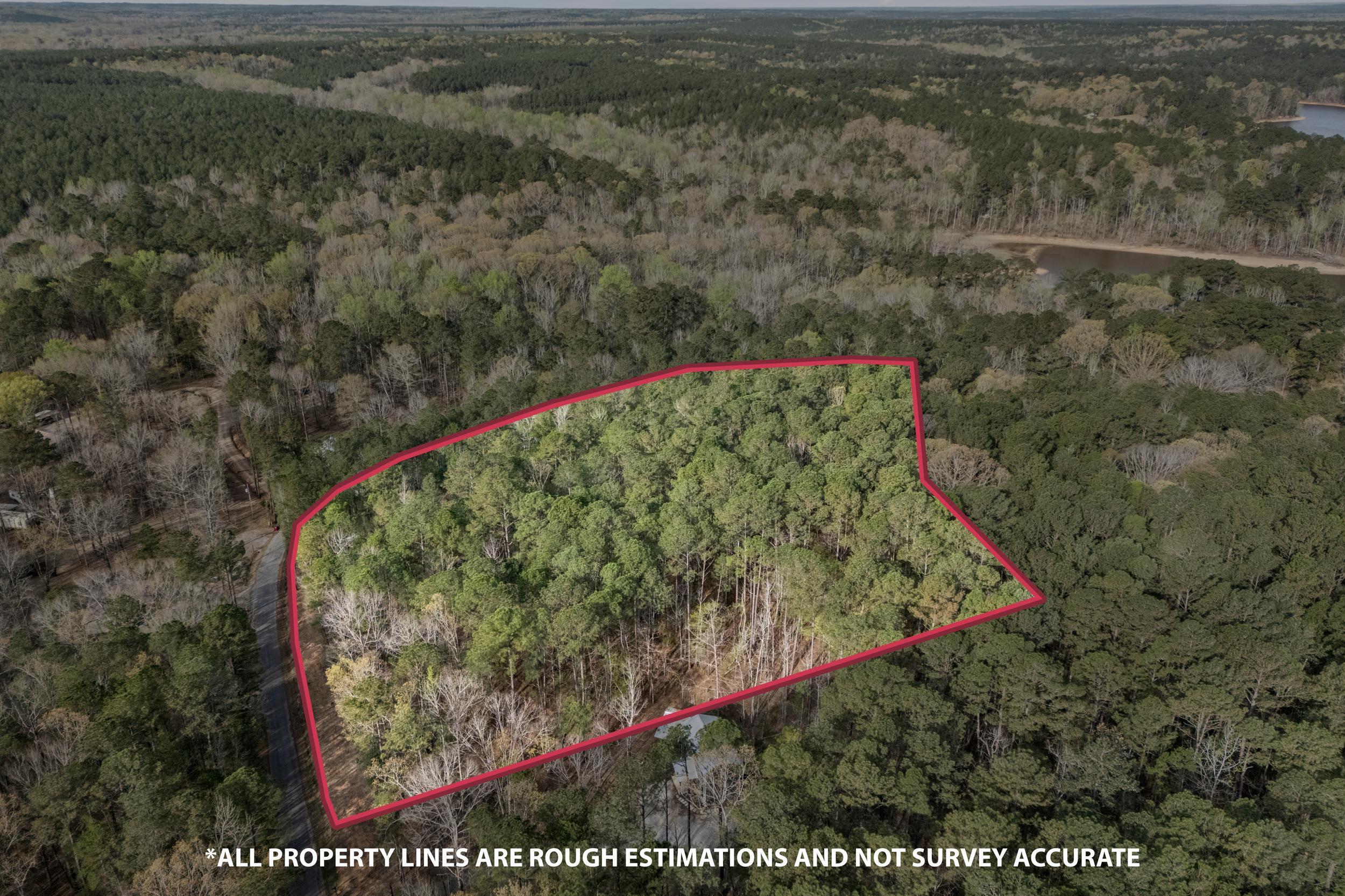 0 Lbk Circle Tignall, GA 30668 - Photo 16 of 21 18_2026-03-24_lbk_cir-srm-lines-12.png