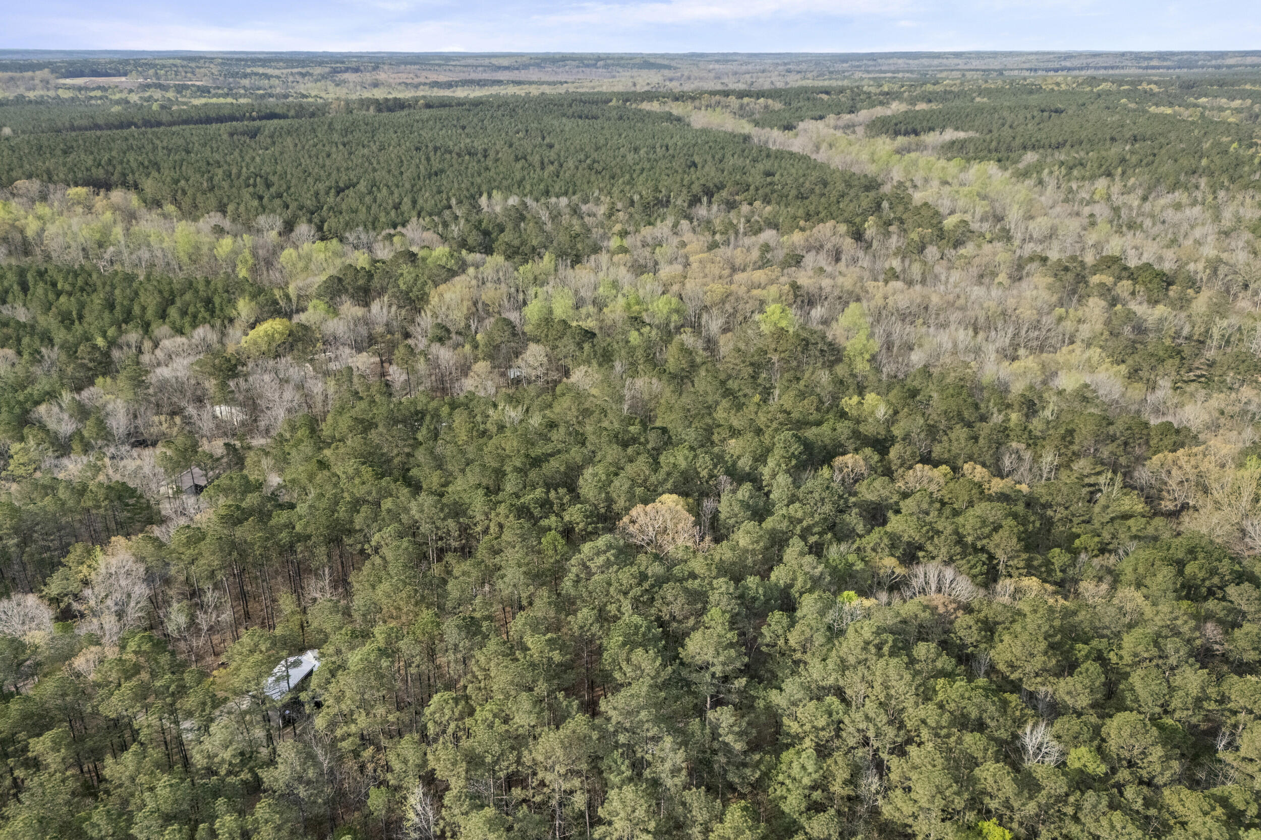 0 Lbk Circle Tignall, GA 30668 - Photo 17 of 21 19_2026-03-24_lbk_cir-srm-13