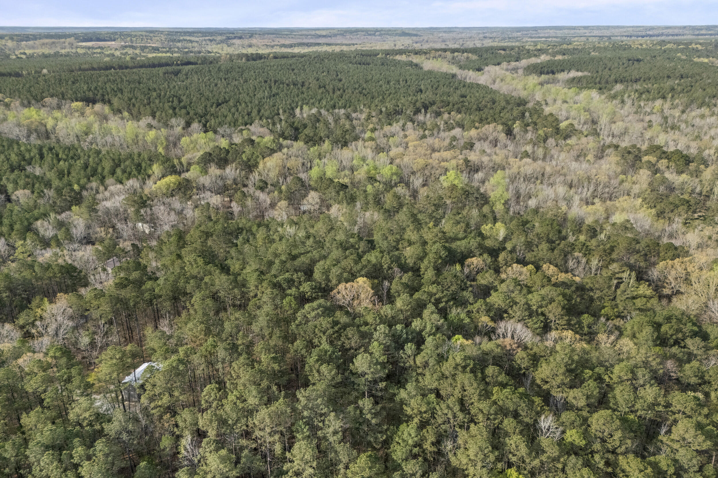 0 Lbk Circle Tignall, GA 30668 - Photo 18 of 21 20_2026-03-24_lbk_cir-srm-14