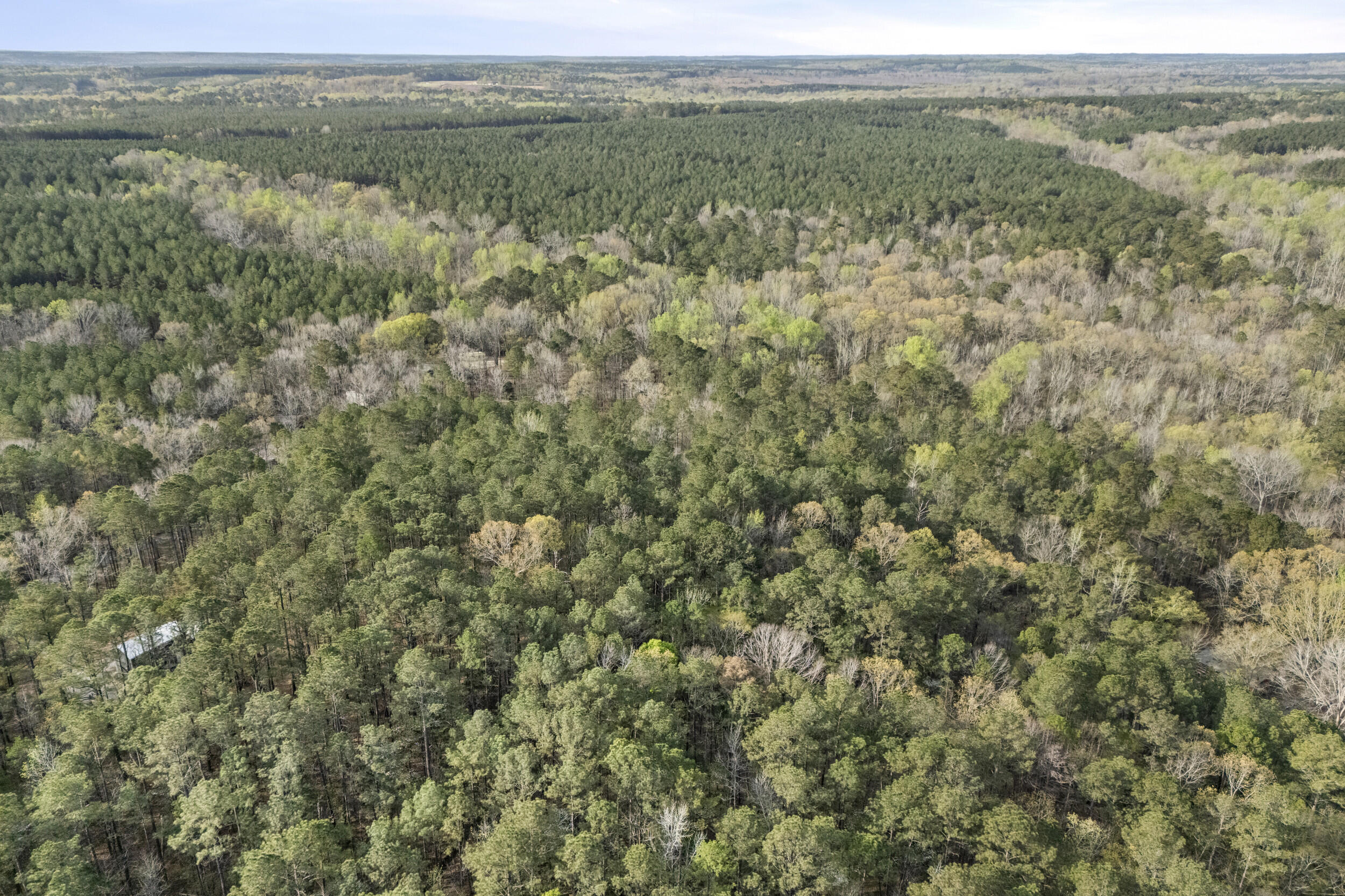 0 Lbk Circle Tignall, GA 30668 - Photo 19 of 21 21_2026-03-24_lbk_cir-srm-15