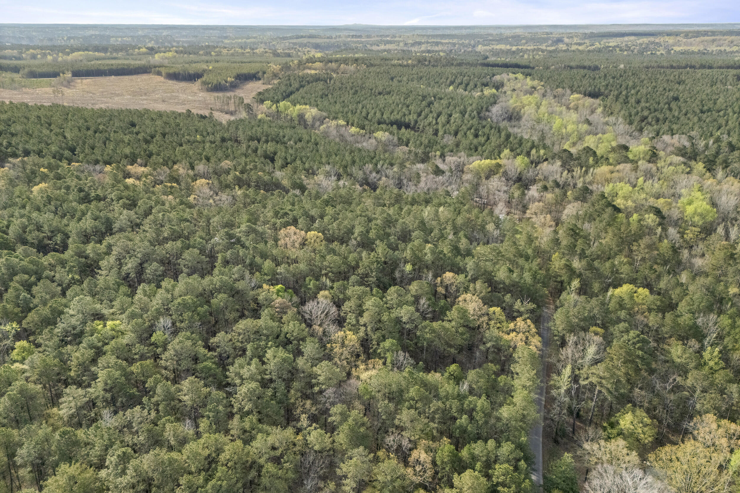 0 Lbk Circle Tignall, GA 30668 - Photo 20 of 21 22_2026-03-24_lbk_cir-srm-16