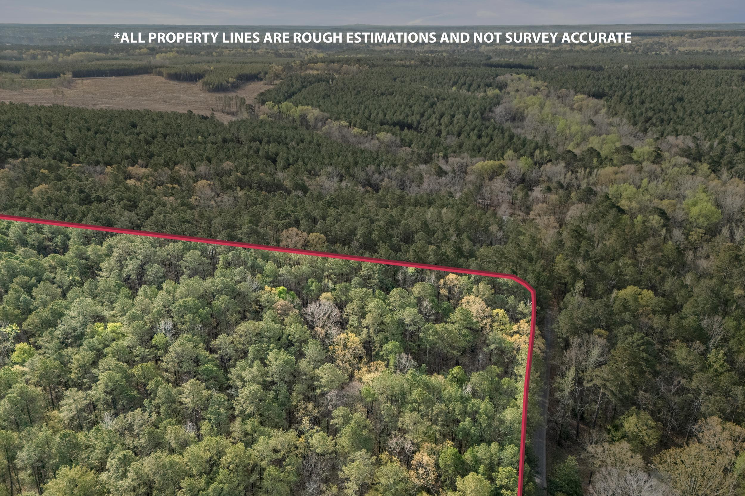 0 Lbk Circle Tignall, GA 30668 - Photo 21 of 21 23_2026-03-24_lbk_cir-srm-lines-16.png