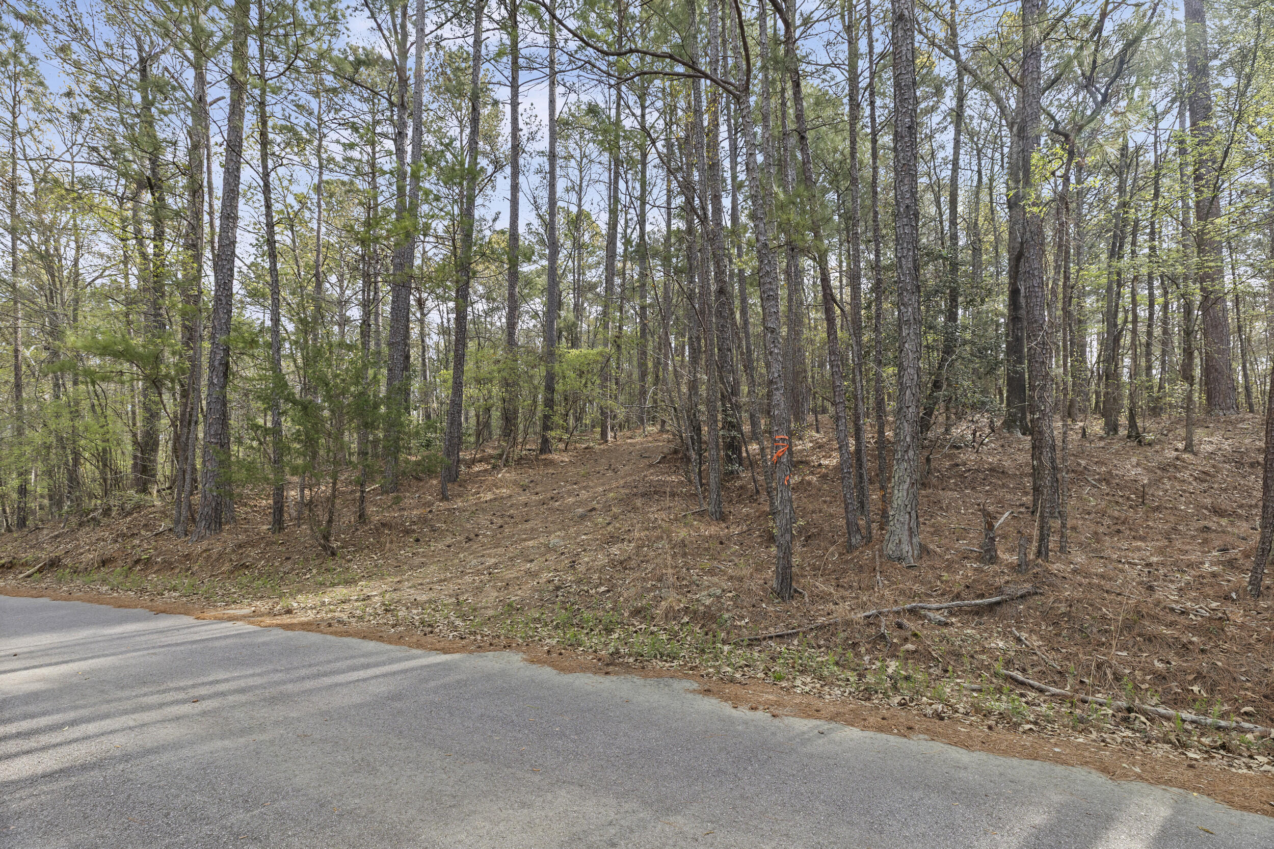 0 Lbk Circle Tignall, GA 30668 - Photo 4 of 21 3_2026-03-24_lbk_cir-srm-03