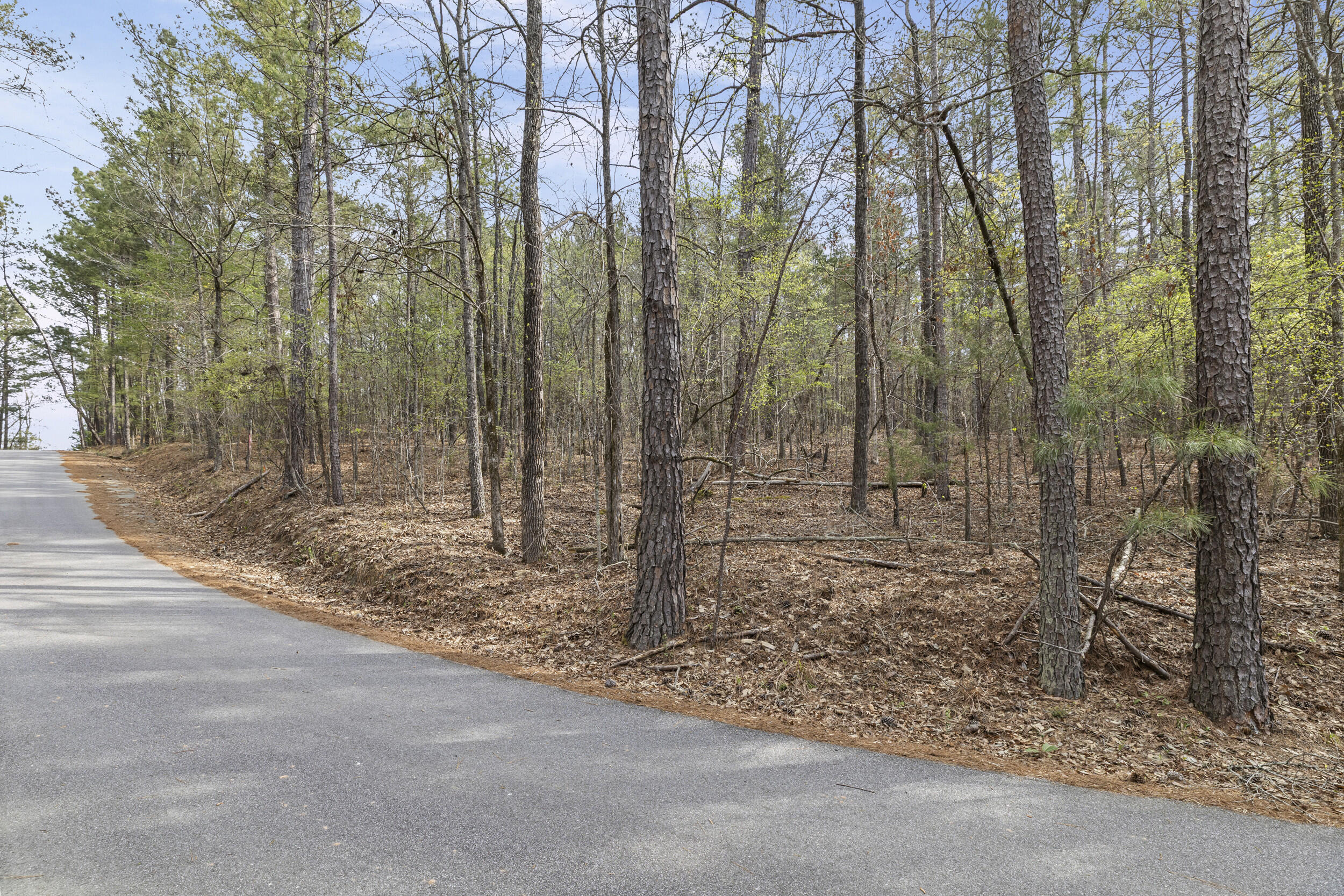 0 Lbk Circle Tignall, GA 30668 - Photo 5 of 21 4_2026-03-24_lbk_cir-srm-04