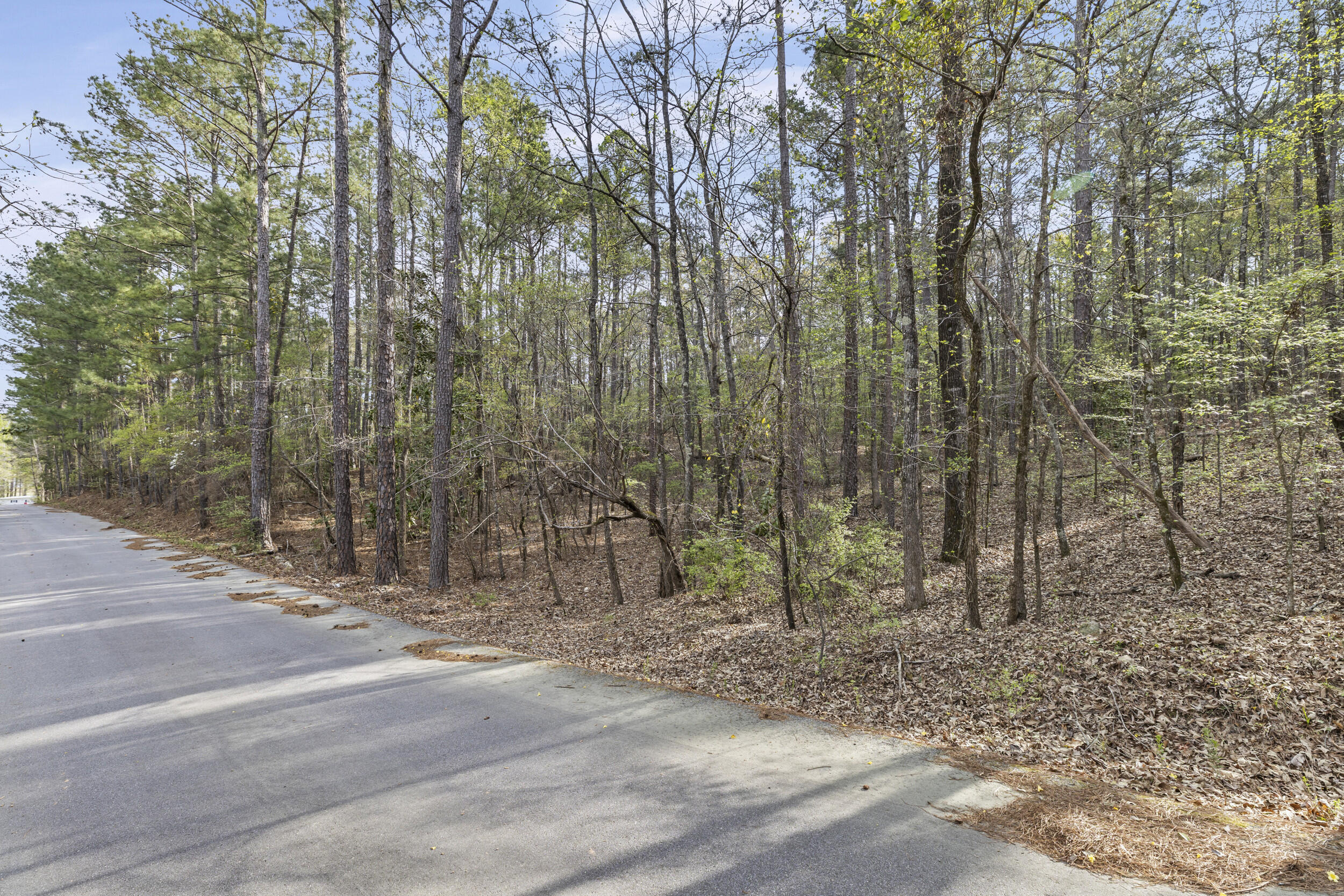 0 Lbk Circle Tignall, GA 30668 - Photo 6 of 21 1_2026-03-24_lbk_cir-srm-01