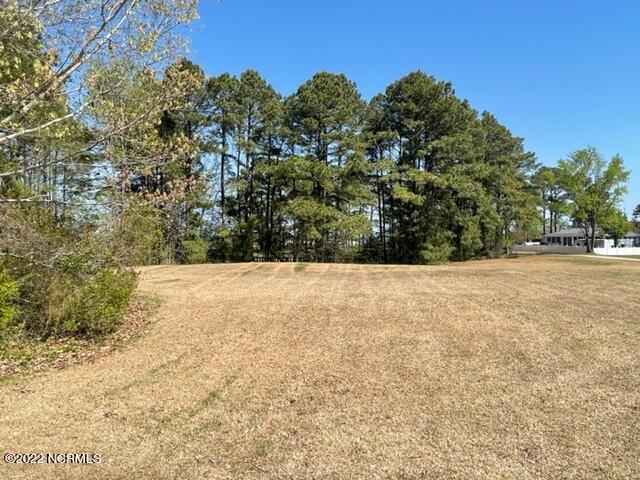 Tbd Emerald Lane Roper, NC 27970 - Photo 6 of 13 Lot