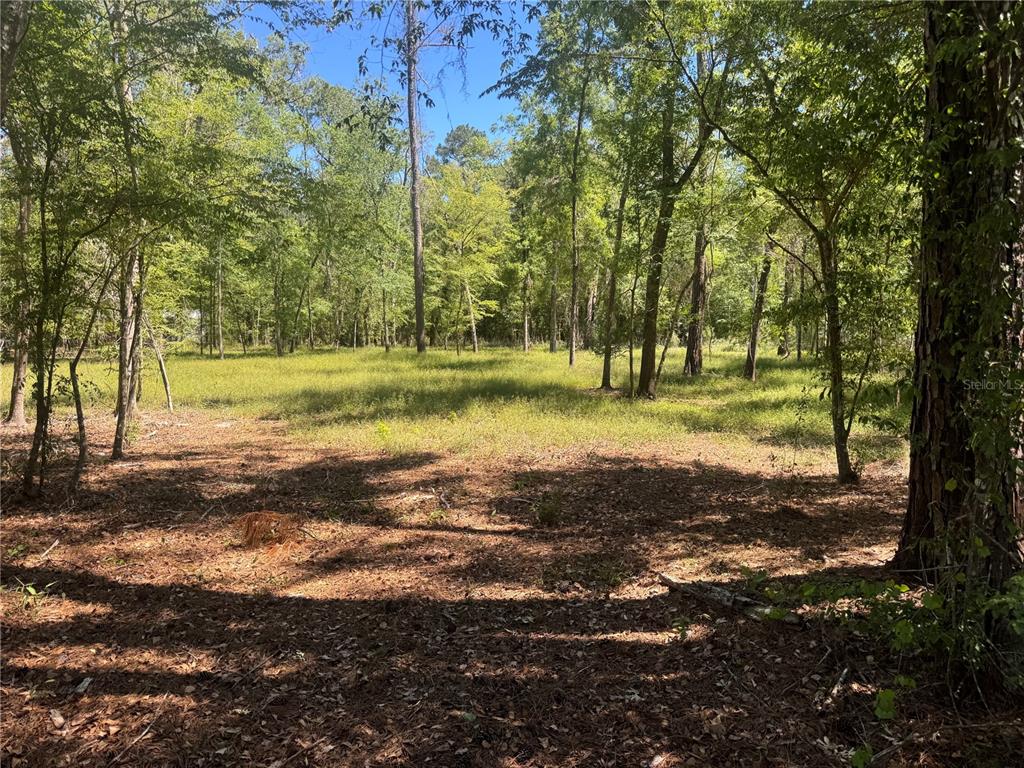 Tbd Southwest 25th Place Bell, FL 32619 - Photo 4 of 5 a view of a park