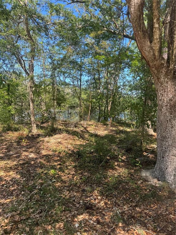 Tbd Southwest 25th Place Bell, FL 32619 - Photo 5 of 5 a view of outdoor space with green space