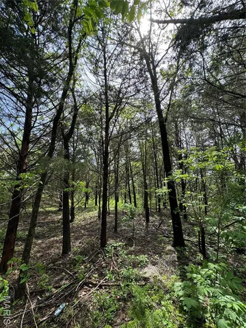 $22,500 | 0 Mallard Road, Licking, MO 65542