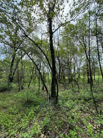 $22,500 | 0 Mallard Road, Licking, MO 65542