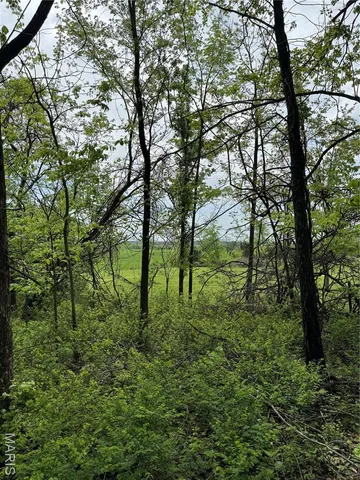 $22,500 | 0 Mallard Road, Licking, MO 65542