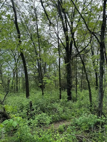 $22,500 | 0 Mallard Road, Licking, MO 65542