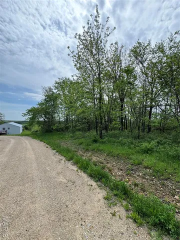$22,500 | 0 Mallard Road, Licking, MO 65542