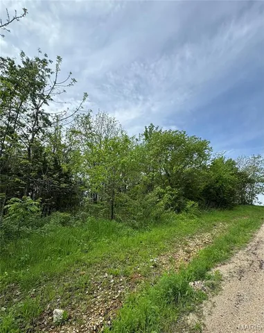 $22,500 | 0 Mallard Road, Licking, MO 65542