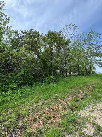 $22,500 | 0 Mallard Road, Licking, MO 65542