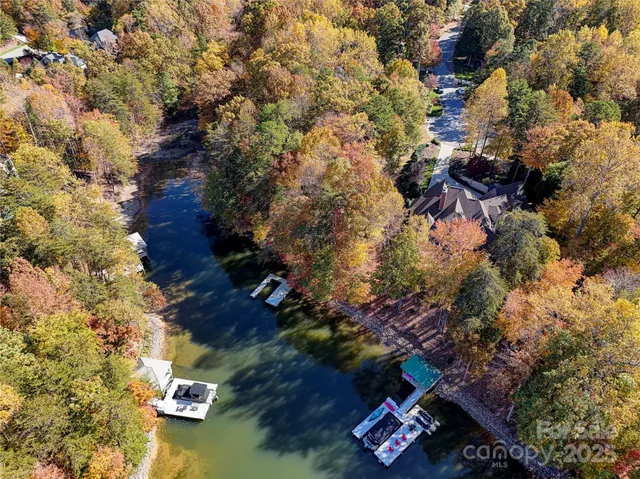 a view of a garden with flowers