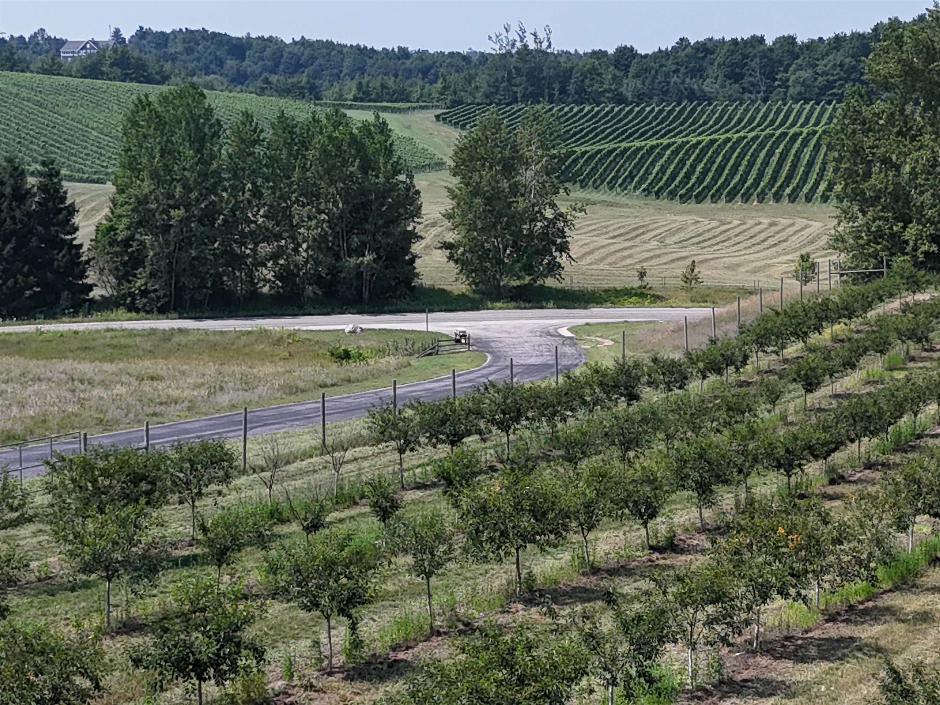 V/l North Matheson Road Northport, MI 49670 - Photo 6 of 11