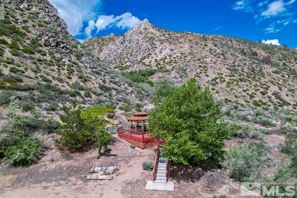559 Mule Deer Road Coleville, CA 96107 - Photo 14 of 40 a view of a yard with a tree