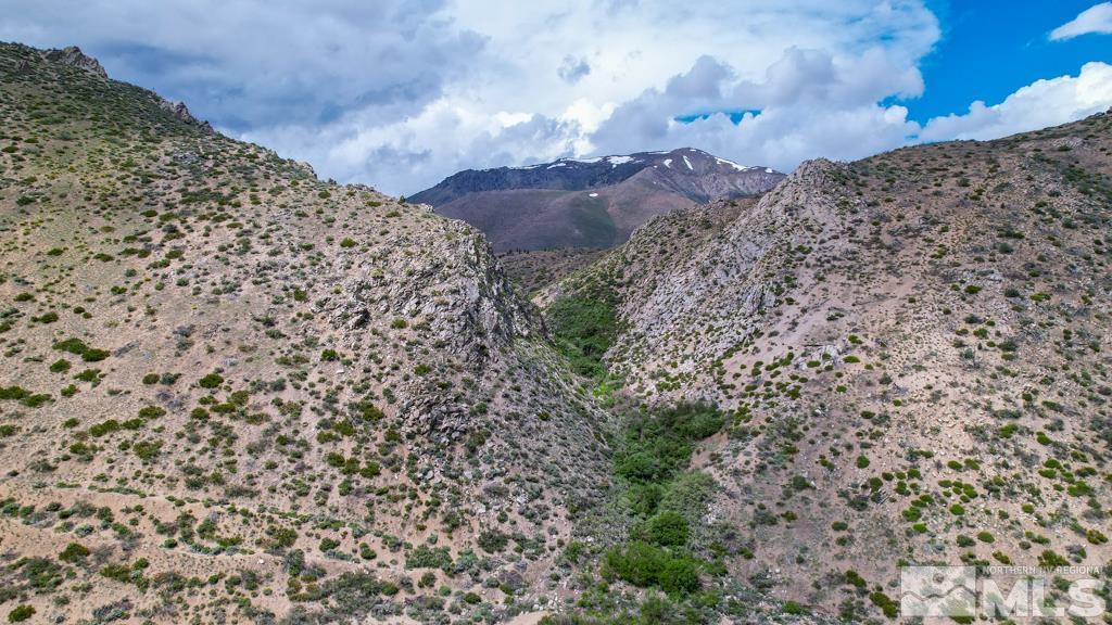 559 Mule Deer Road Coleville, CA 96107 - Photo 40 of 40 a view of a yard