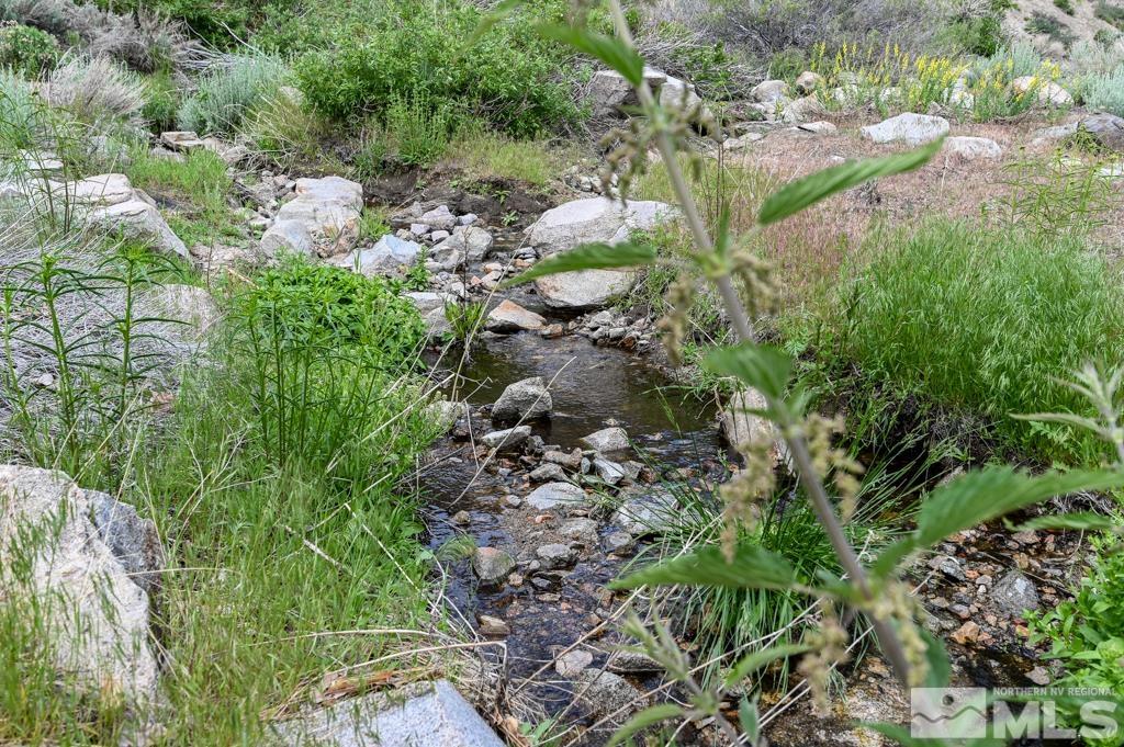 559 Mule Deer Road Coleville, CA 96107 - Photo 5 of 40 a plant that is in a garden