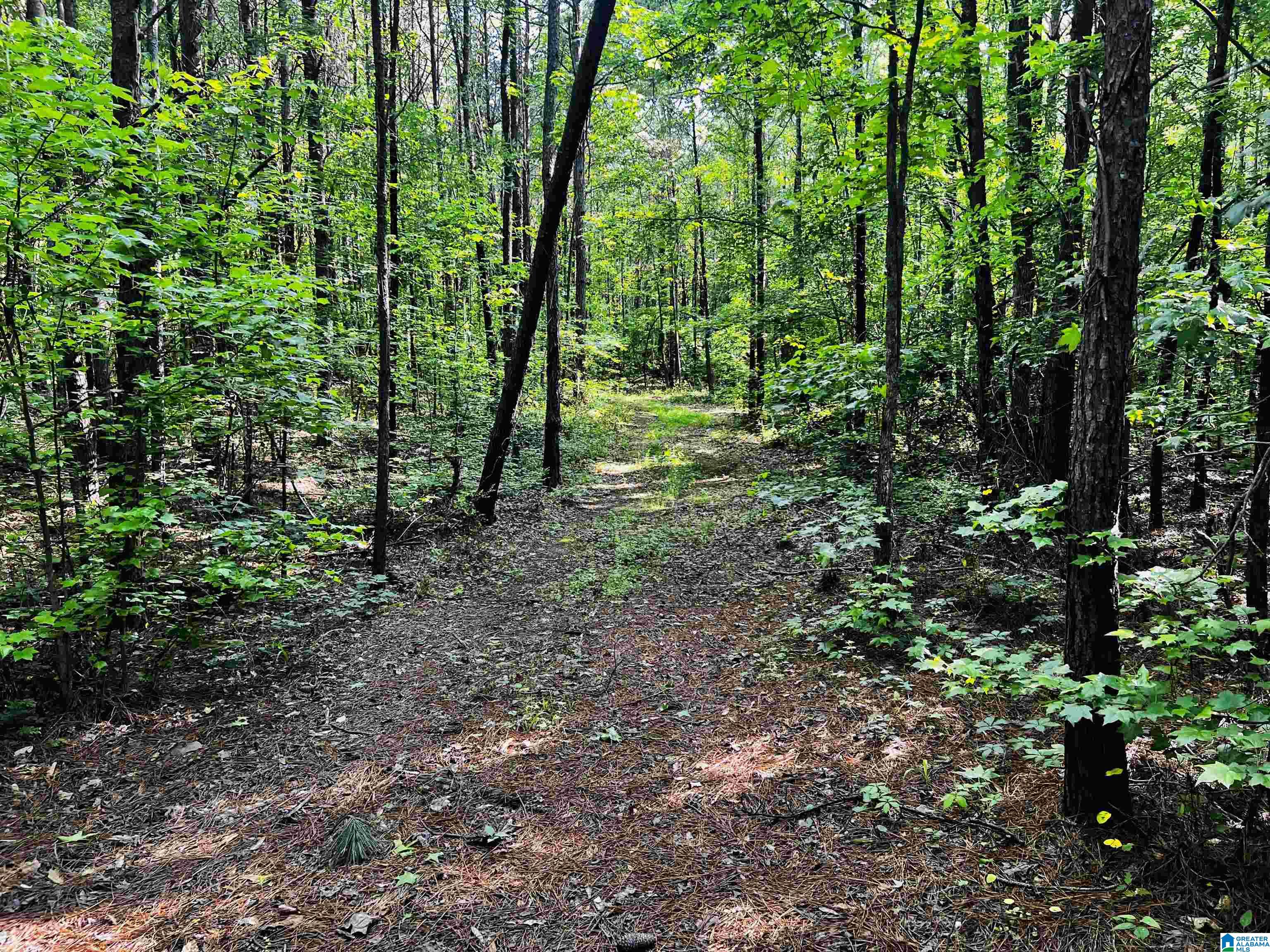 424 Ronbar Road, Unit 1 Columbiana, AL 35051 - Photo 23 of 39