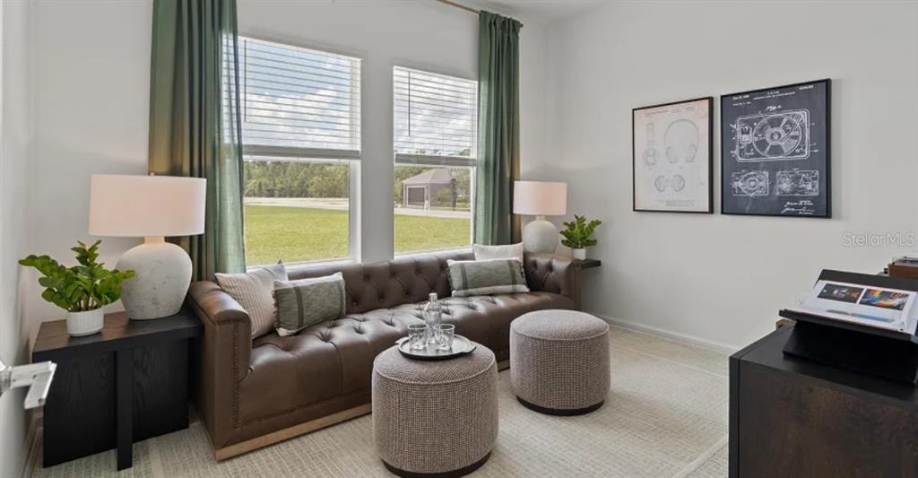 4246 St Thomas Way Kissimmee, FL 34758 - Photo 8 of 16 a living room with furniture and a potted plant