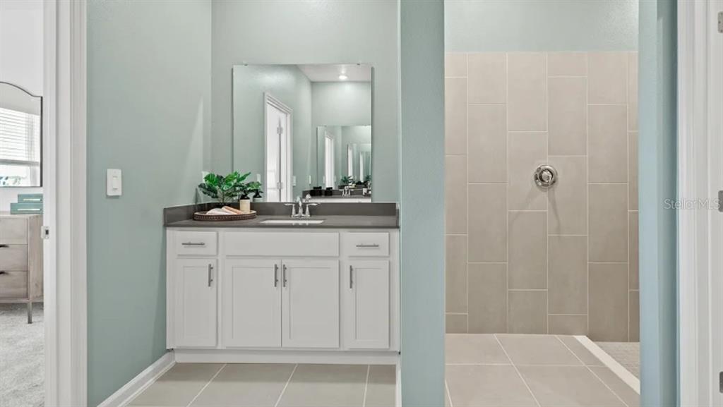 4246 St Thomas Way Kissimmee, FL 34758 - Photo 10 of 16 a bathroom with a sink and a mirror
