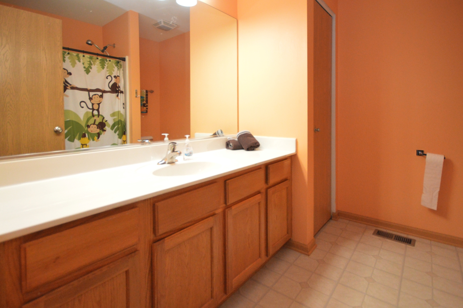 1504 Roth Drive Joliet, IL 60431 - Photo 22 of 27 a bathroom with a sink and a mirror