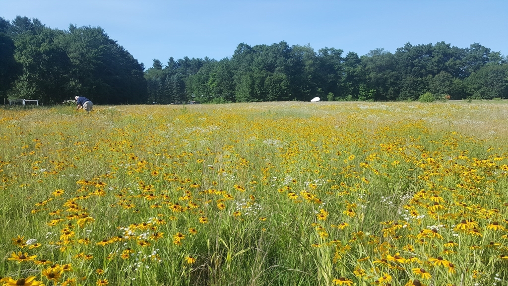 0 Depot Road Hatfield, MA 01038 - Photo 1 of 17 a view of an ocean from a yard